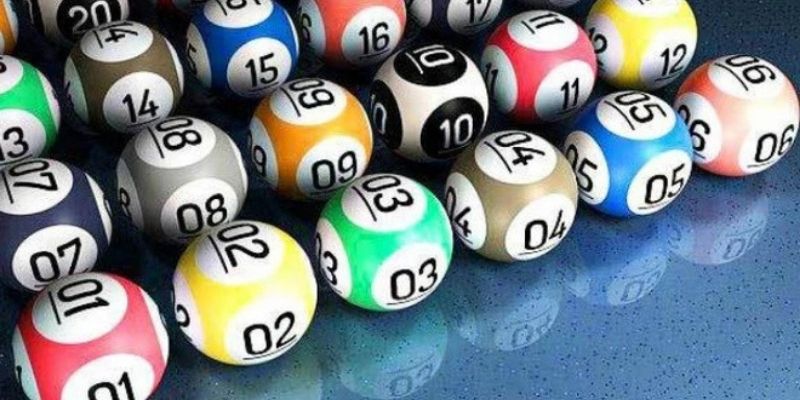 Khám phá các dữ liệu nổi bật về 5 càng trong xổ số