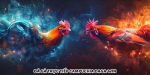Đá Gà Trực Tiếp Campuchia Daga-Win Chất Lượng Số Một
